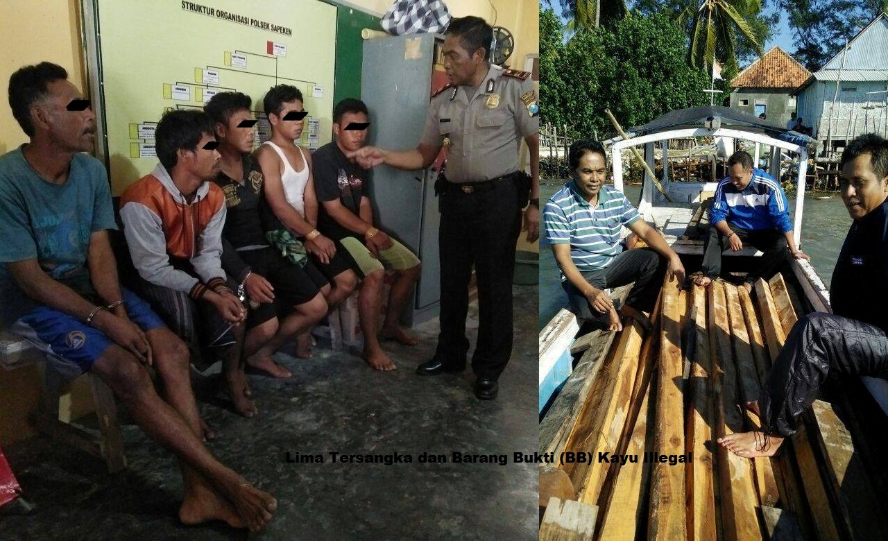 news_img