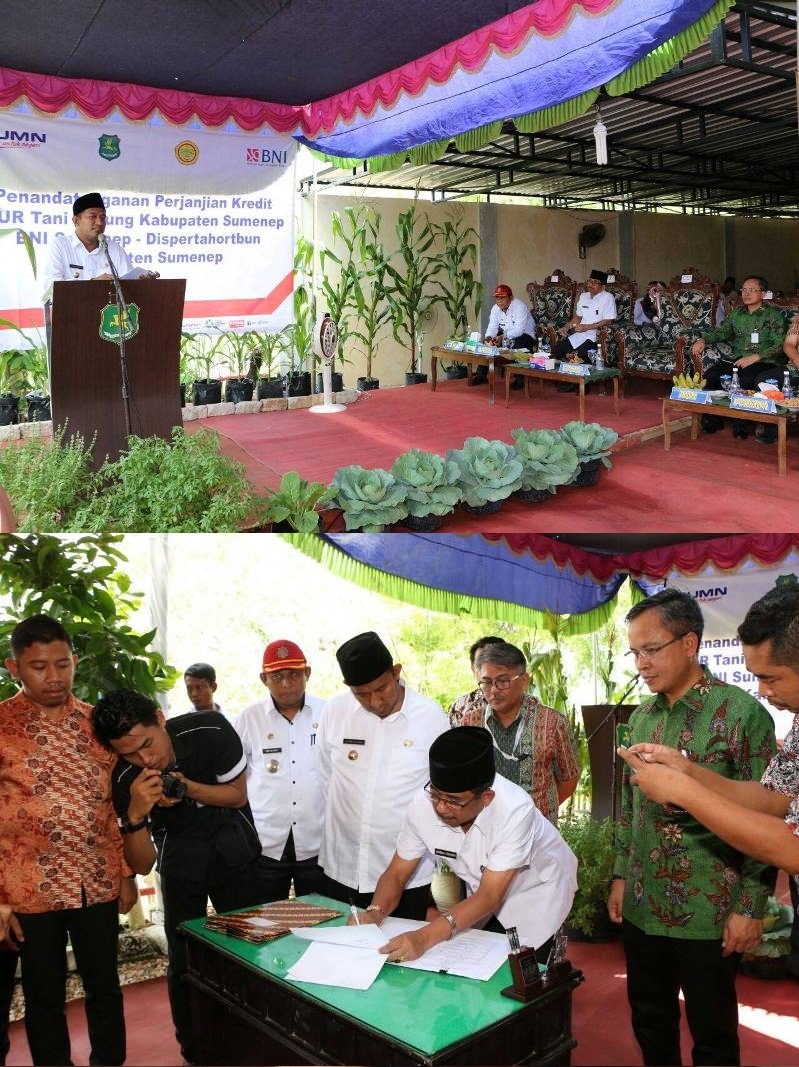 news_img