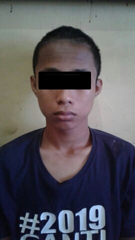 news_img