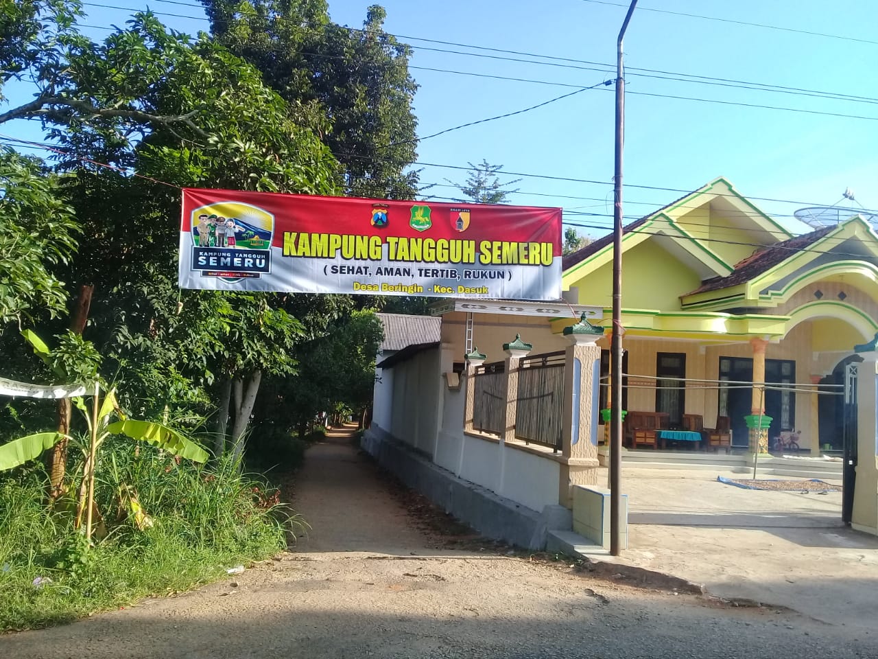 news_img